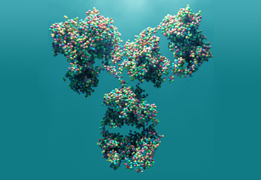 Antibody Engineering: Driving Therapeutic Discovery and Diagnostics Forward at GenScript