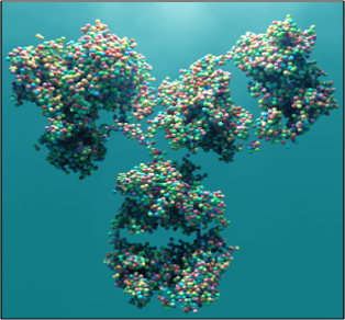 Antibody Engineering Picture
