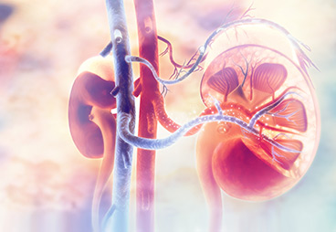 Save 500 more lives each year using hepatitis C-positive kidneys in transplantation