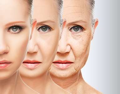 lifespan, longevity, diet, behavior, smoking, alcohol consumption, obesity