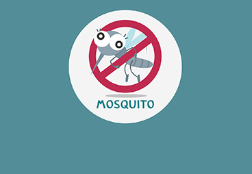Scientists Successfully Created Three-eyed, Wingless Mosquitoes in Real Life