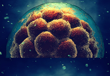 Scientists Successfully Turned Skin Cells into Stem Cells Using CRISPR Genome Editing