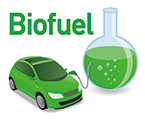 synthetic + DNA + engineering, crispr AND plant, synthetic biology + plant, synthetic gene regulatory network, circadian clock AND cyanobacteria, synthetic microbiology systems biology, Photosynthesis + cyanobacteria, plant breeding, transgenic plant, biosafety AND plant, (plant reproduction) NOT (patient OR clinical), biomanufacturing, Biofuels, biosafety AND plant, RNAi + [plant OR agriculture OR food]