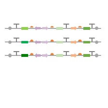 Sequential optimization