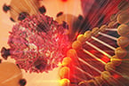 immunotherapy, cancer, essential genes, HPV, T cells, CRISPR