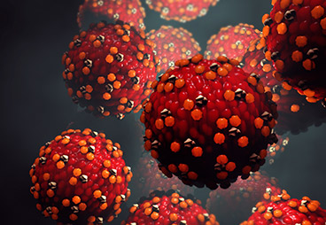 Measles Attack: Ultra-Fast Virus Detection by Peptide Libraries