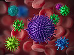 immune cells
