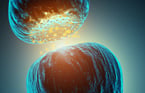 synaptic plasticity, memory, learning, TrkB, GTPase, BDNF, dentritic spines, neurons