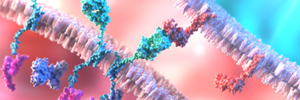 Tackling Tumor Relapse with More Sensitive Engineered T Cells