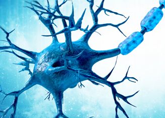 Tapping the Enhanced Potency of “Hyper-IL-6” to Regenerate Spinal Neurons after Injury