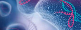 The CRISPR Handbook