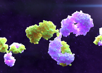 Therapeutic Antibodies Advancing Toward Approval for Clinical Use