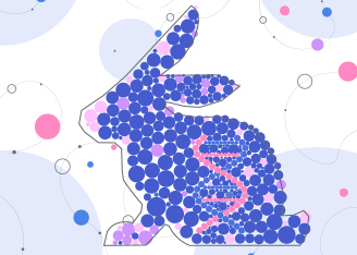 Top 4 Reasons to Develop Rabbit Antibodies 