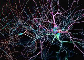 Understanding AMPylation and its Role in Neurons