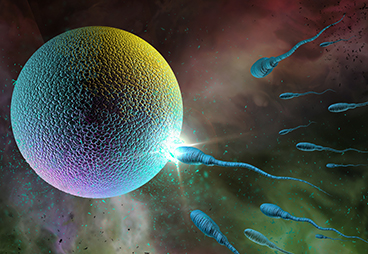 Using Magnetism to Direct Drug Carrying Sperm to Cancerous Tumors