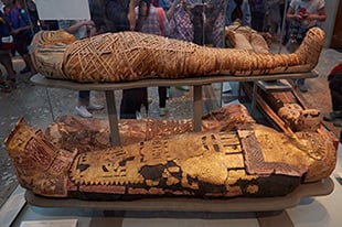4,000 Year Old Mummy Sequencing Picture