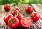 genetically modified organism
