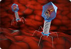 virology