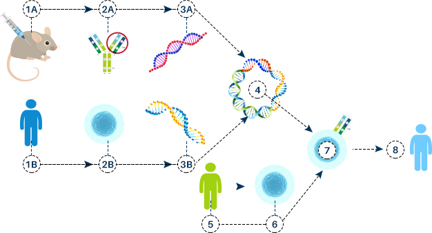 CAR-T Cell Therapy Generation CAR-T Cell Therapy Generation