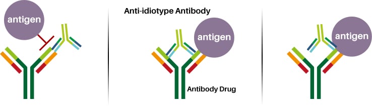 Different types of anti-idiotype antibodies may bind to free, bound or all available antibody drugs