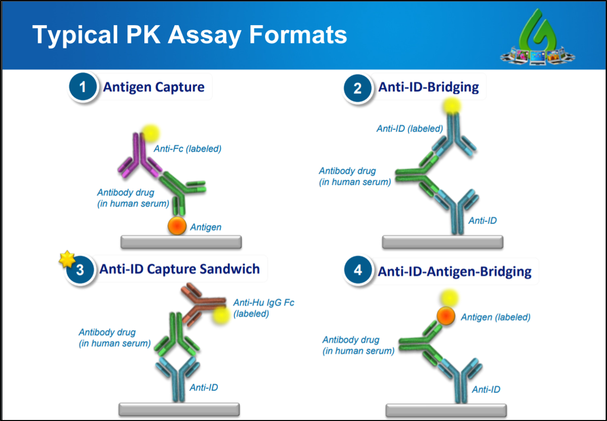 Four commonly used ELISA based PK assays use anti-ID antibodies to detect antibody drugs in human serum