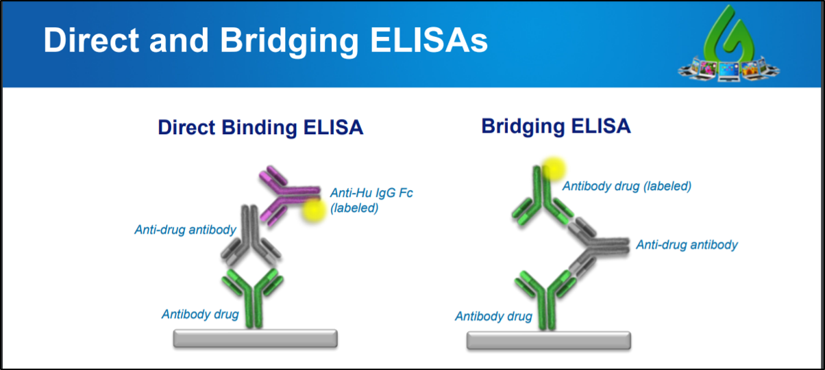 ELISA based immunogenicity assays detect anti-drug antibodies that may arise following use of antibody drugs