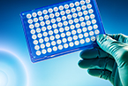 Mammalian expression AND recombinant, pcr cloning, RNAi, Alternative splicing, tissue-specific gene expression, plant AND gene, transcriptional regulation, post-transcriptional regulation, Post-translational modifications