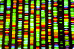 inheritable disease