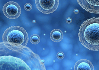 Why are CHO Cells Critical in Bioprocessing?