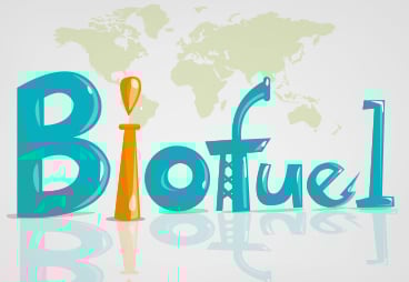 Yeast Engineered to Ferment Novel Nutrients for Biofuel Production
