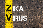zika; virus; vaccine