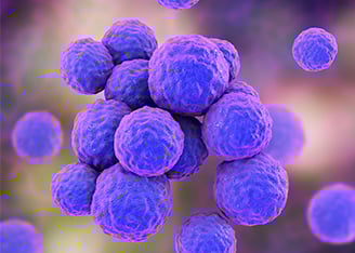 α-Hemolysin derived from Staphylococcus aureus Promotes Inflammation Resolution through Generation of Specialized Pro-resolving Mediators