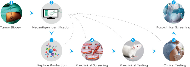 Stages of Neoantigen Precision Immunotherapy