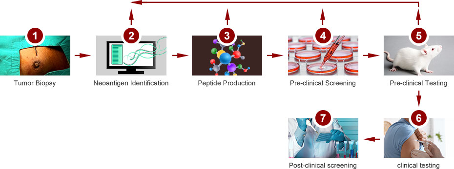 Stages of Neoantigen Precision Immunotherapy Stages of Neoantigen Precision Immunotherapy