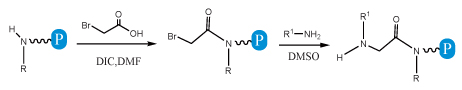 Submonomer peptoids synthesis