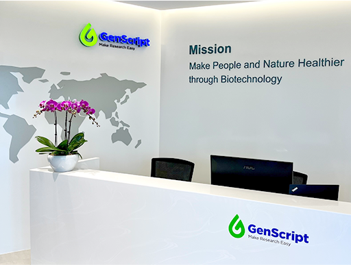 Mammalian CHO High Throughput (CHO-HT)