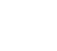Clone setup and codon optimization  