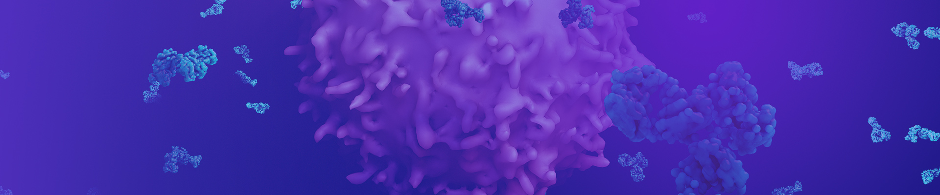 High-Quality Monoclonal Antibodies Ensure Deeper Insight on Protein Function