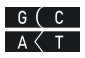 basepair