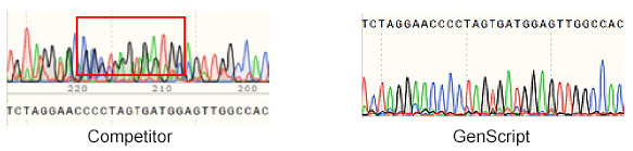 GenScript's ITR sequencing QC vs competitor's