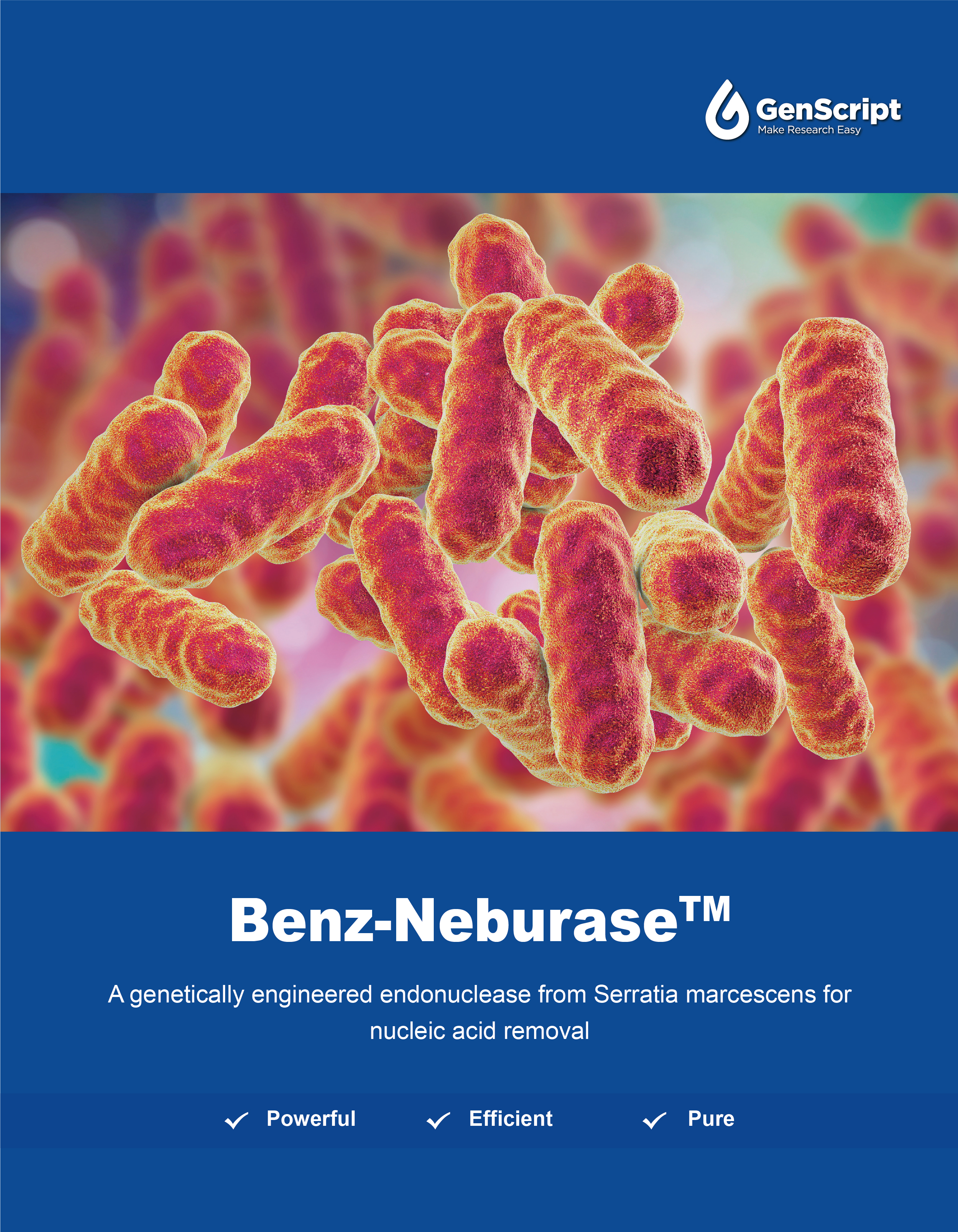 Benz-Neburase