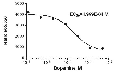 M00247