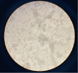  cell clumping