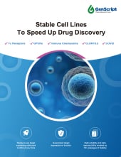 Stable Cell Line Flyer
