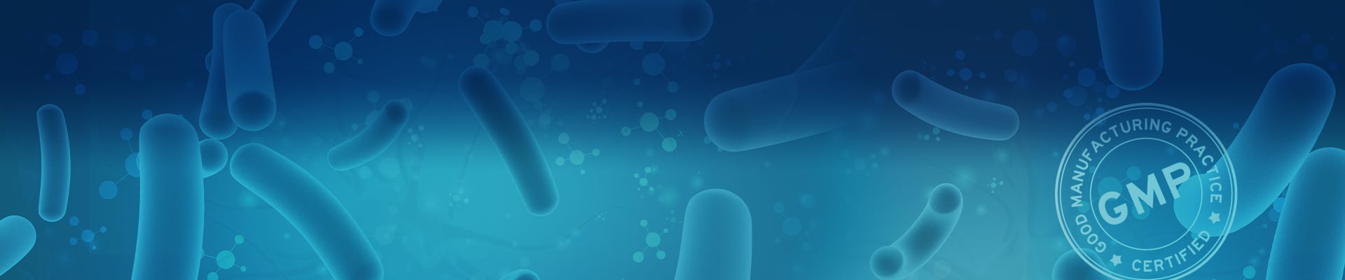 Custom GMP-Grade Bacterial Protein Expression