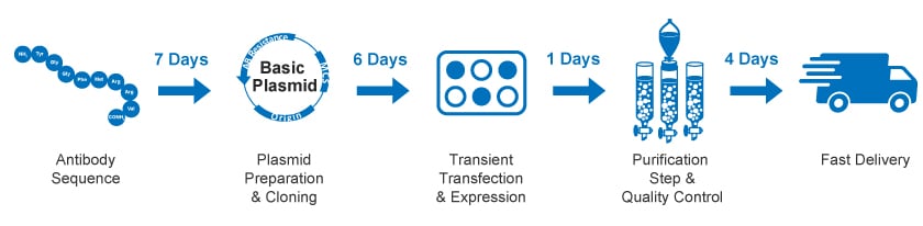 High Throughput Antibody Purification Services