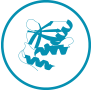 Outstanding Capability for Complex Protein