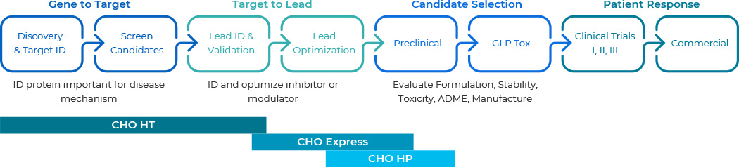 Antibody/Protein Therapeutics