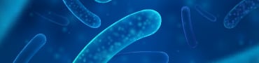bacteria picture