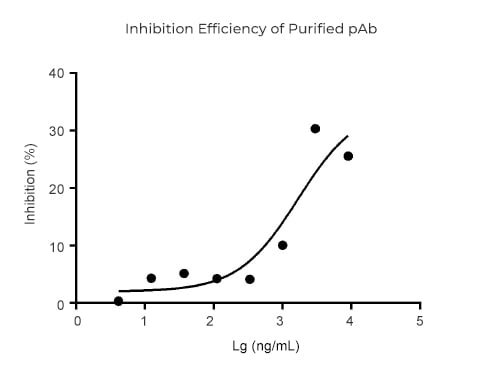 Inhibition Efficiency of Purified pAb